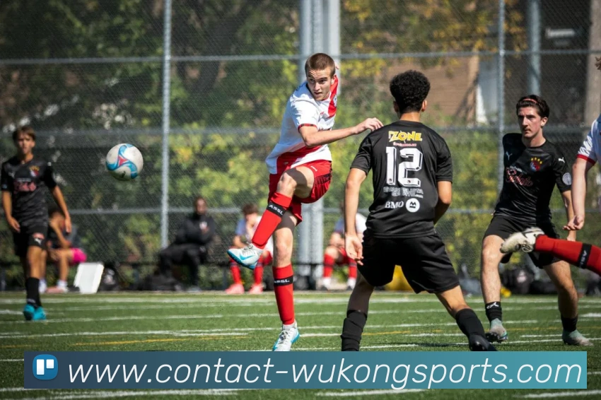 悟空体育平台生态图